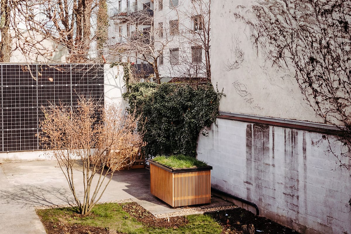 Absorber surface and clad module in the planted courtyard of a tenement building